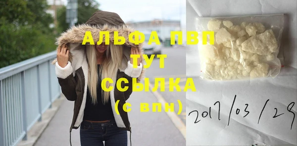 мет Алексин