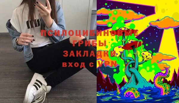 героин Алзамай
