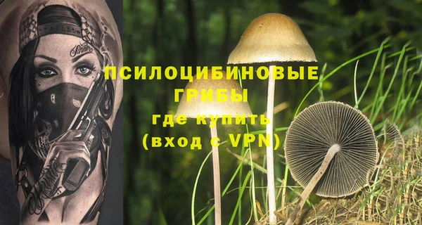 мет Алексин