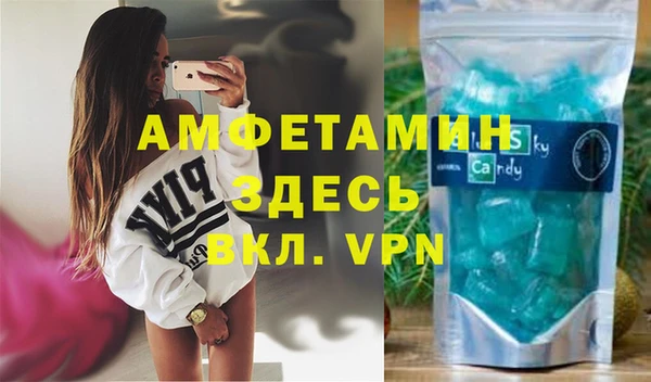 мет Алексин