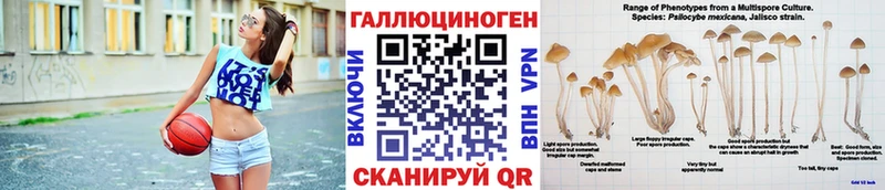 Псилоцибиновые грибы Magic Shrooms  купить   omg сайт  Жирновск 
